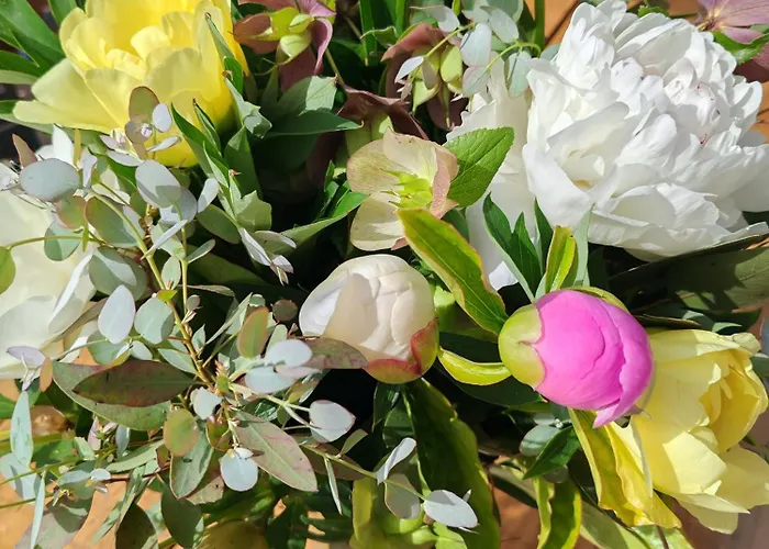 Le Pavillon Des Pivoines 住宿加早餐酒店