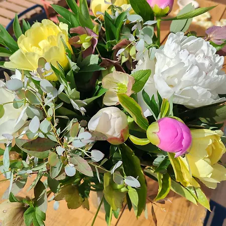 Le Pavillon Des Pivoines Отель типа 